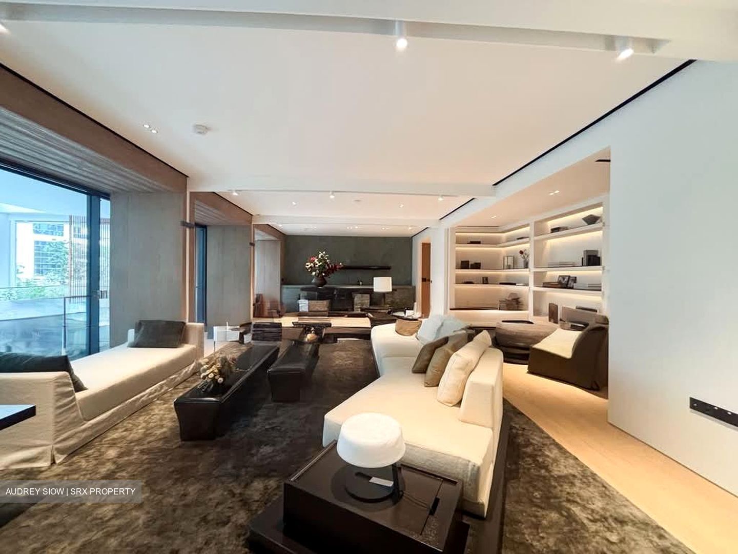 21 Anderson (D10), Condominium #592513461
